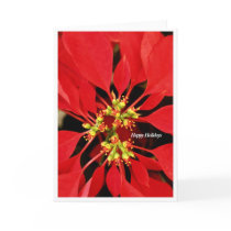 pointsetta cards