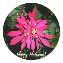 Pointsettia 5 stickers