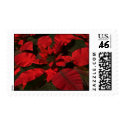Pointsettia Postage postage