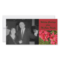 Pointsettias photo cards by DonnaGrayson Pointsettias photo cards