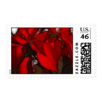 Pointsettias postage