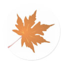 Pointy Brown Maple Leaf stickers