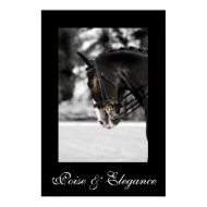Poise & Elegance print