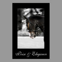 Poise & Elegance posters by macnessa Poise & Elegance posters