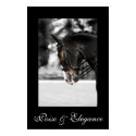 Poise & Elegance posters by macnessa Poise & Elegance posters