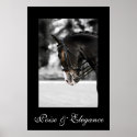Poise & Elegance posters