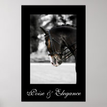 Poise & Elegance posters