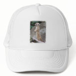 Poised Meerkat Baseball Hat