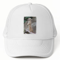 Poised Meerkat Baseball Hat