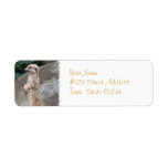 Poised Meerkat Mailing Labels