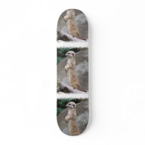 Poised Meerkat Skateboard