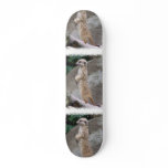 Poised Meerkat Skateboard
