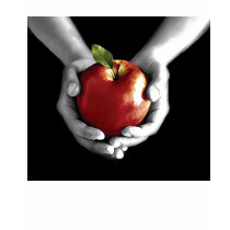 Poison Apple t-shirts by tinkershells Poison Apple t-shirts