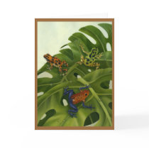 Poison Arrow Frog Card