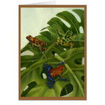Poison Arrow Frog Card
