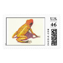 poison arrow frog postage by pencilpetportraits poison arrow frog postage