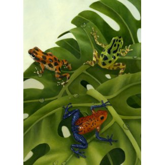 Poison Arrow Frogs Card card