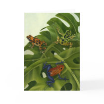 Poison Arrow Frogs Card
