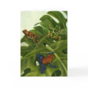 Poison Arrow Frogs Card by Laura_Regan_Artist Poison Arrow Frogs Card
