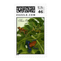Poison Arrow Frogs Postage postage by Laura_Regan_Artist Poison Arrow Frogs Postage postage