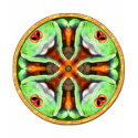 Poison Dart Frog Mandala t-shirts