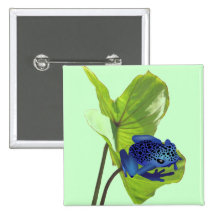 Poison Dart Frog Pins