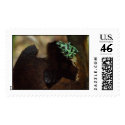 Poison Dart Frog postage by InkStudios Poison Dart Frog postage