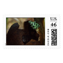 Poison Dart Frog postage