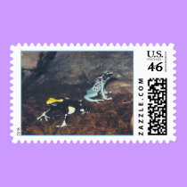 Poison Dart Frogs - postage stamps by Horseshoes3 Poison Dart Frogs - postage stamps