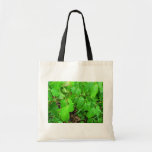 Poison ivy bags