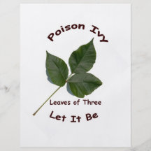 Poison Ivy Flyer Design