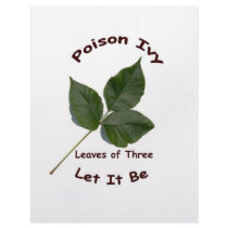Poison Ivy letterhead by Orchidimages Poison Ivy letterhead