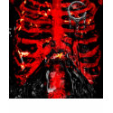 {POISONLAND} Rib Cage FITTED Shirt by cynicalmass {POISONLAND} Rib Cage FITTED Shirt