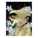 "Poisonous Beauties II: White Oleander" Postcard postcards