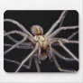 Poisonous menacing recluse spider mouse pads