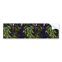 Poisonwood Bumper Stickers