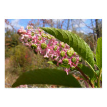 Pokeweed ~ ATC business cards by Andy2302 Pokeweed ~ ATC business cards