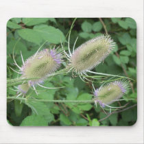 Pokey Flowers mousepads by idream10 Pokey Flowers mousepads