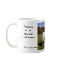 Pokey..waiting... mugs by SecondChanceRanch Pokey..waiting... mugs