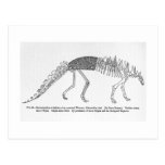 Polacanthus foxi art postcard