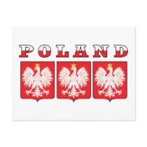 Poland Eagle Shields Post Card