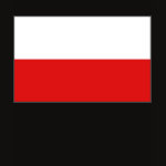 Poland Flag Map Spaghetti Top