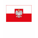 Poland Flag T-shirt shirt