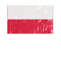 Poland T-shirt by worldtees Poland T-shirt
