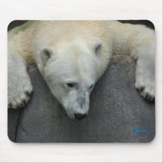 Polar Bear 11 mousepad