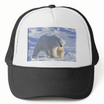 POLAR BEAR 1 HAT