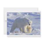 POLAR BEAR 1 CUSTOM INVITATIONS
