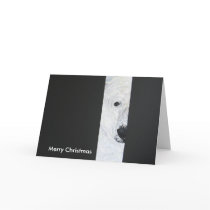 Polar Bear 1, Merry Christmas cards