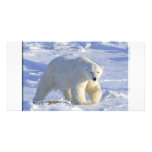 POLAR BEAR 1 CUSTOM PHOTO CARD
