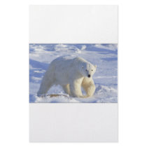 POLAR BEAR 1 PERSONALIZED STATIONERY